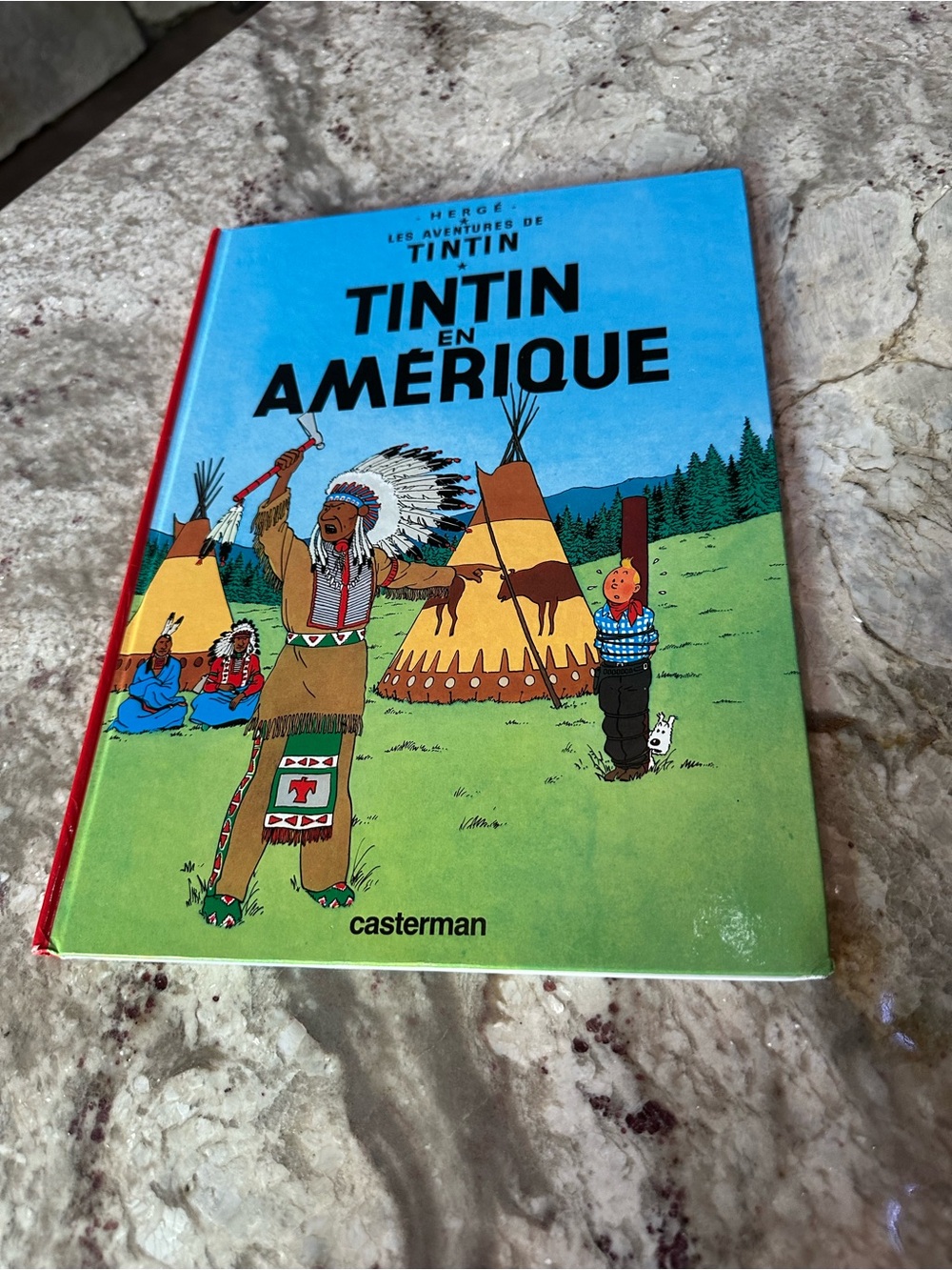 Tintin en Amérique Kids Theater Cover - Blue & Green